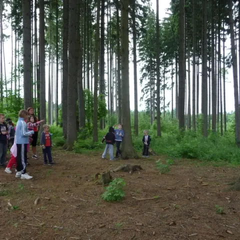 Eš u Pacova 2013 - 0. turnus – fotka 135