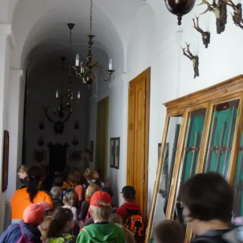 Eš u Pacova 2013 - 0. turnus – fotka 729