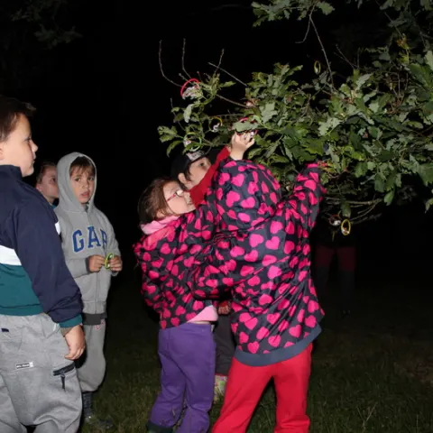 Eš u Pacova 2013 - 0. turnus – fotka 124