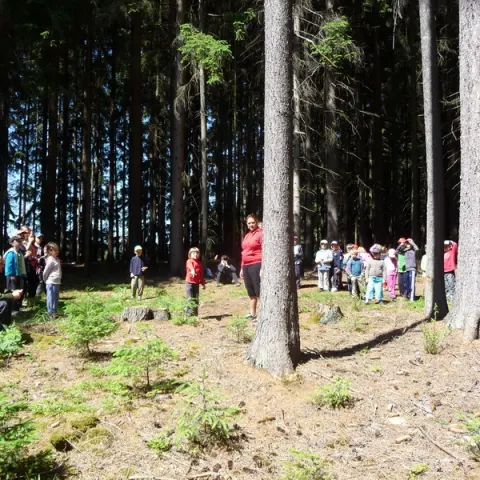 Eš u Pacova 2013 - 0. turnus – fotka 208