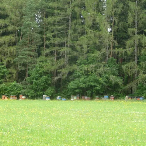 Eš u Pacova 2013 - 0. turnus – fotka 702