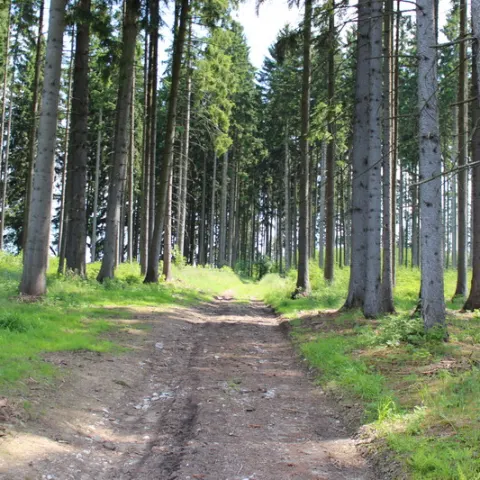 Eš u Pacova 2013 - 0. turnus – fotka 254