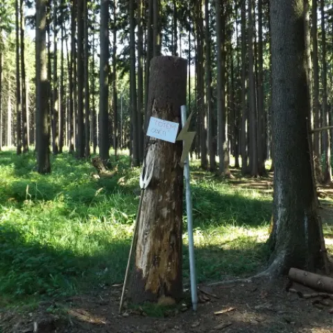 Eš u Pacova 2013 - 2. turnus – fotka 212