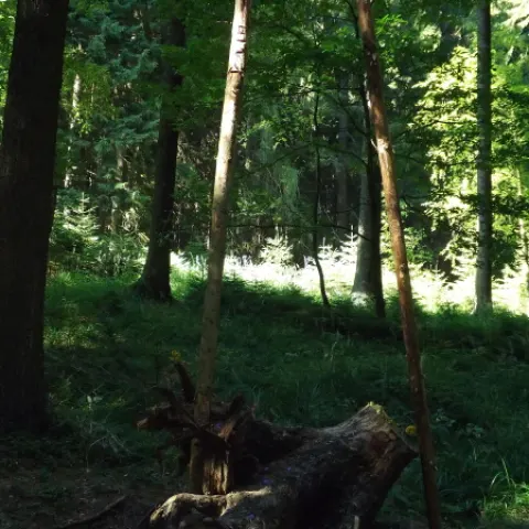 Eš u Pacova 2013 - 2. turnus – fotka 224