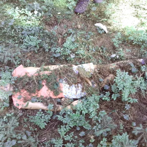 Eš u Pacova 2013 - 2. turnus – fotka 35