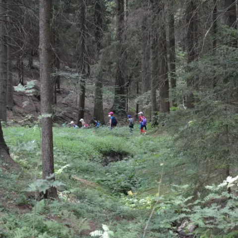 Eš u Pacova 2013 - 3. turnus – fotka 79