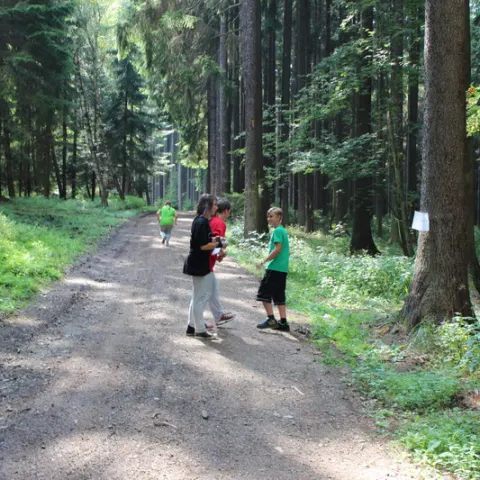 Eš u Pacova 2013 - Mironet IT tábor – fotka 208