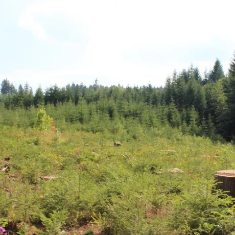Eš u Pacova 2013 - Mironet IT tábor – fotka 210