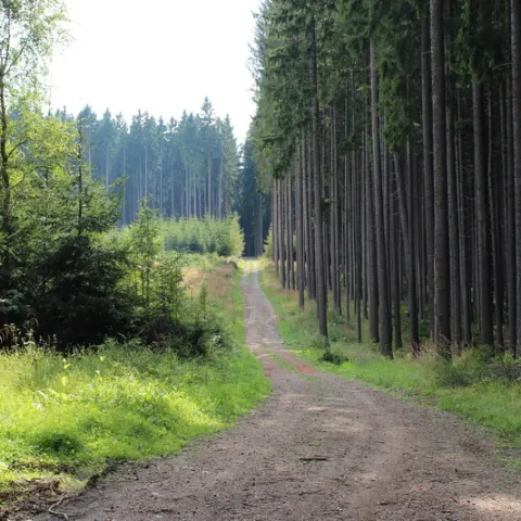 Eš u Pacova 2013 - Mironet IT tábor – fotka 205