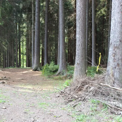 Eš u Pacova 2013 - Mironet IT tábor – fotka 204