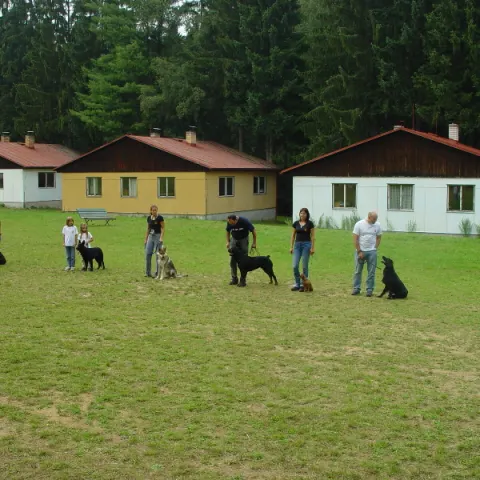 Historie 1950 - 2012 – fotka 679