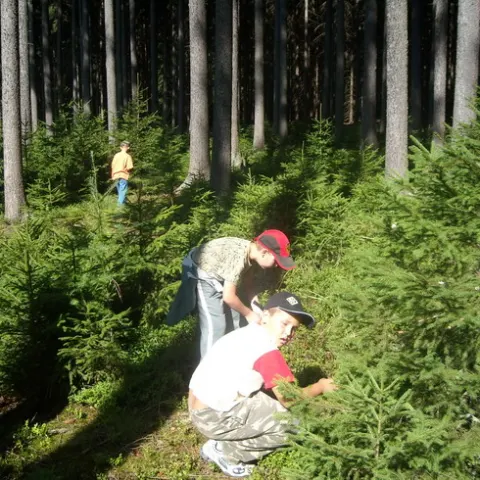 Historie 1950 - 2012 – fotka 2717