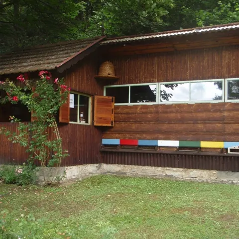 Historie 1950 - 2012 – fotka 3595