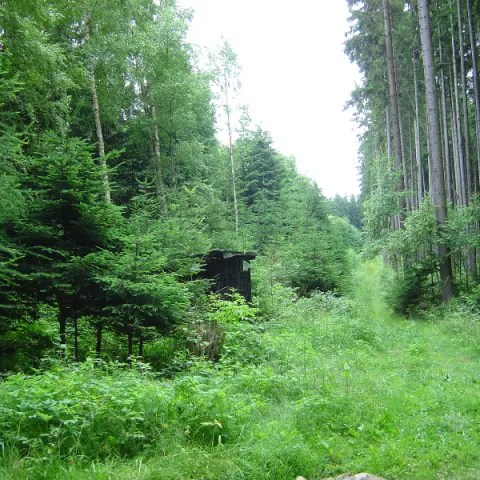 Historie 1950 - 2012 – fotka 546
