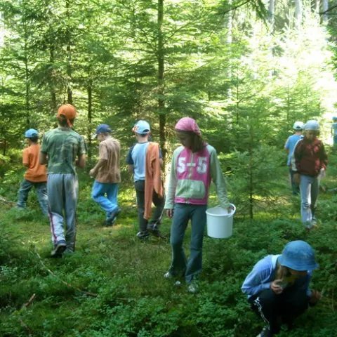 Historie 1950 - 2012 – fotka 2718
