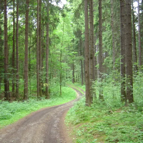 Historie 1950 - 2012 – fotka 544