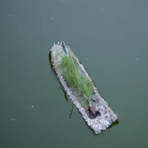 Historie 1950 - 2012 – fotka 628