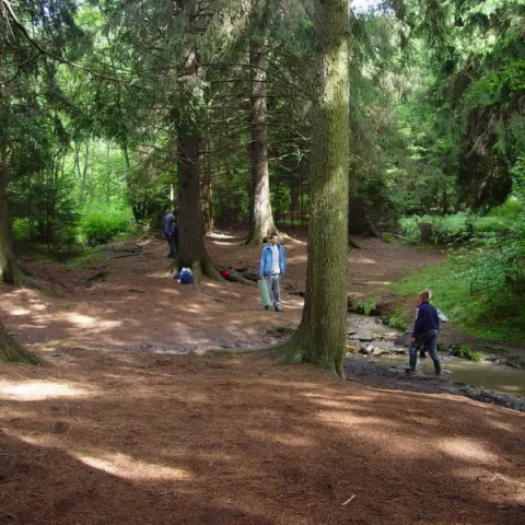 Historie 1950 - 2012 – fotka 459