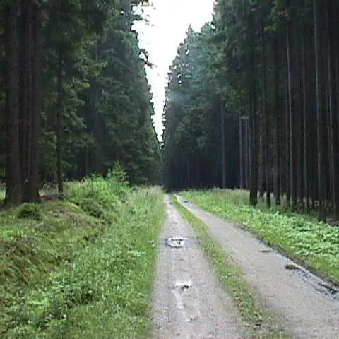 Historie 1950 - 2012 – fotka 878