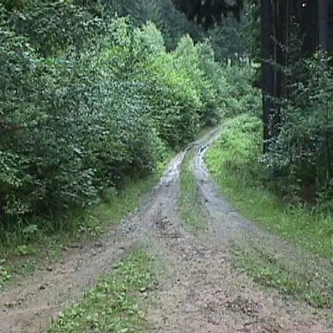 Historie 1950 - 2012 – fotka 874