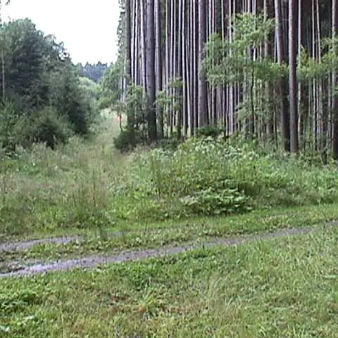 Historie 1950 - 2012 – fotka 870