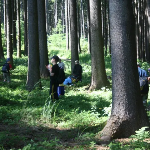Historie 1950 - 2012 – fotka 1334
