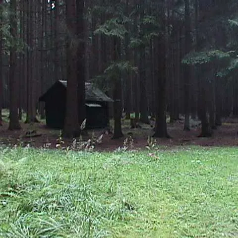 Historie 1950 - 2012 – fotka 880