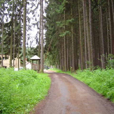 Historie 1950 - 2012 – fotka 559