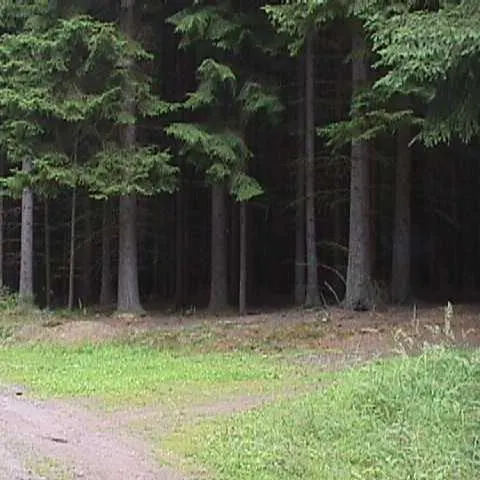 Historie 1950 - 2012 – fotka 876