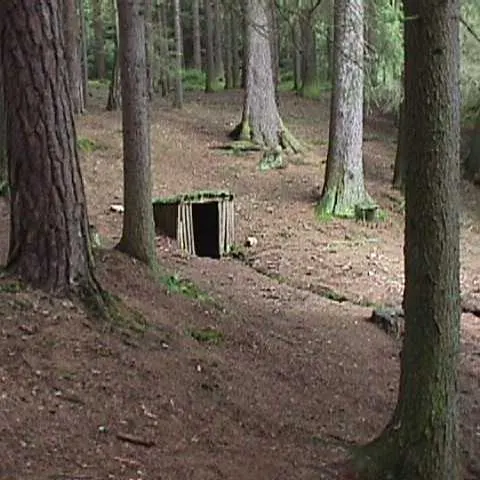 Historie 1950 - 2012 – fotka 872