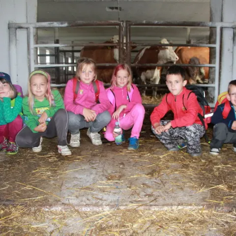 Eš u Pacova 2014 - 1. turnus – fotka 632