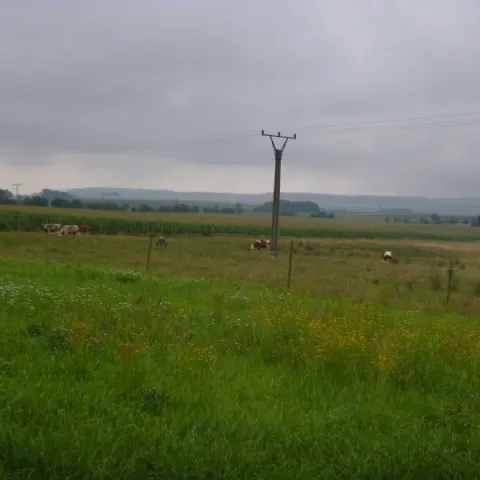 Eš u Pacova 2014 - 2. turnus – fotka 935