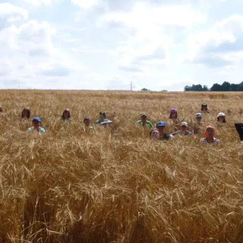 Eš u Pacova 2014 - 2. turnus – fotka 900