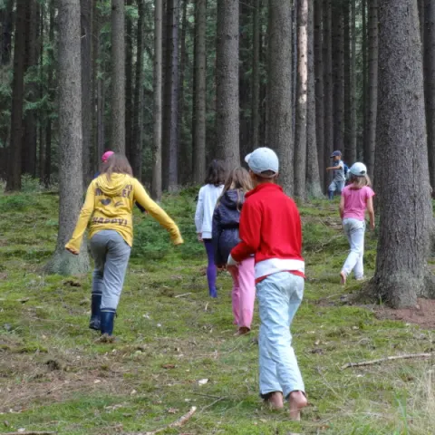 Eš u Pacova 2014 - 2. turnus – fotka 614