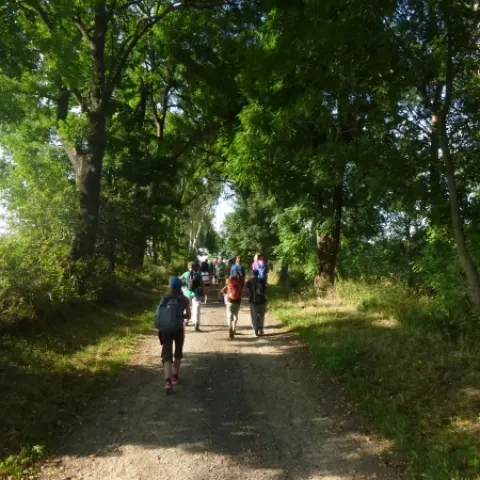 Eš u Pacova 2014 - 2. turnus – fotka 918