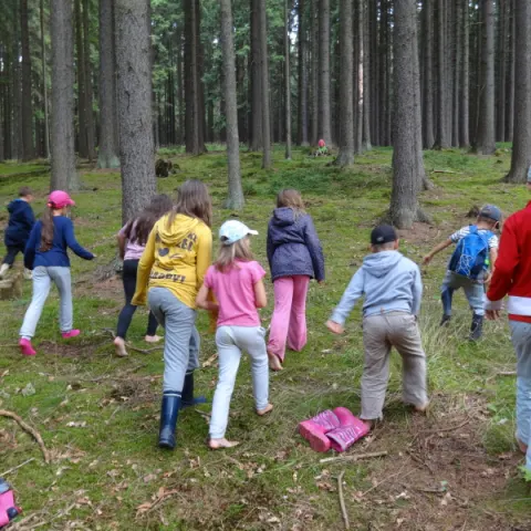 Eš u Pacova 2014 - 2. turnus – fotka 613
