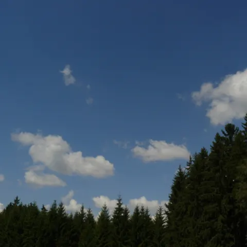 Eš u Pacova 2014 - 2. turnus – fotka 1001