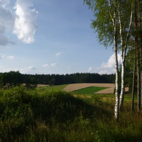 Eš u Pacova 2014 - 2. turnus – fotka 921