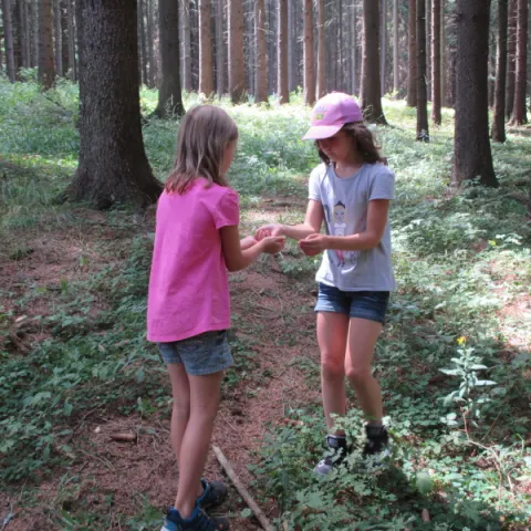 Eš u Pacova 2014 - 2. turnus – fotka 830