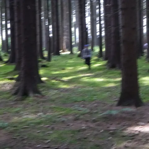 Eš u Pacova 2014 - 2. turnus – fotka 877