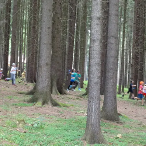 Eš u Pacova 2014 - 2. turnus – fotka 631