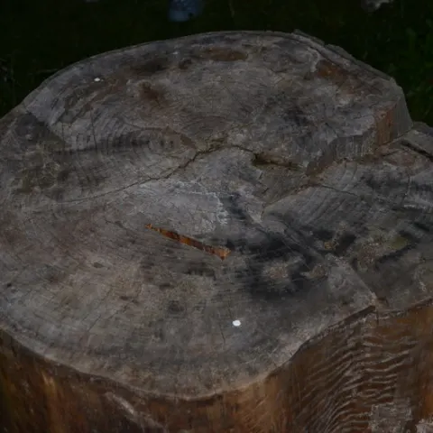 Eš u Pacova 2014 - 3.turnus – fotka 431