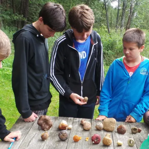 Eš u Pacova 2014 - Mironet IT tábor – fotka 23