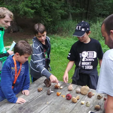 Eš u Pacova 2014 - Mironet IT tábor – fotka 24