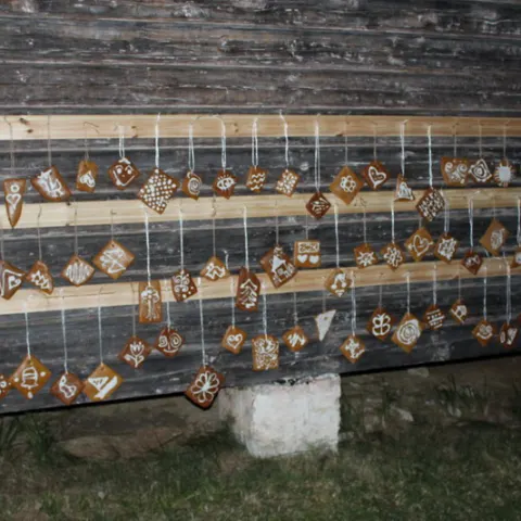 Eš u Pacova 2015 - 0.turnus – fotka 738