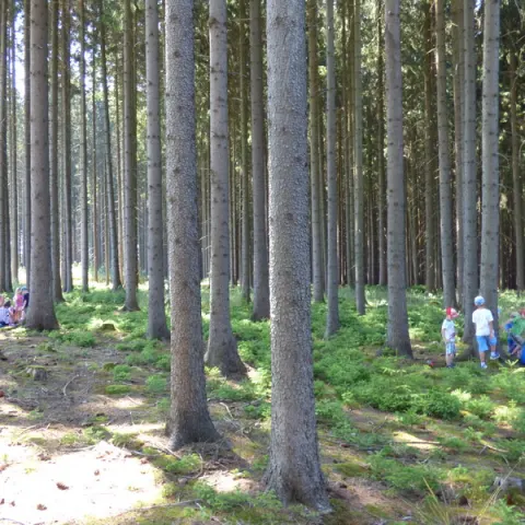 Eš u Pacova 2015 - 0.turnus – fotka 1608