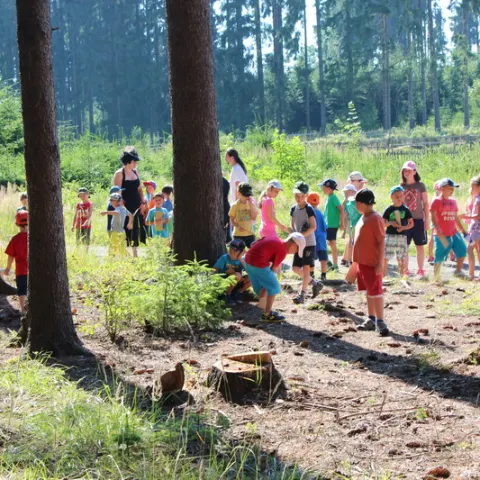 Eš u Pacova 2015 - 0.turnus – fotka 660