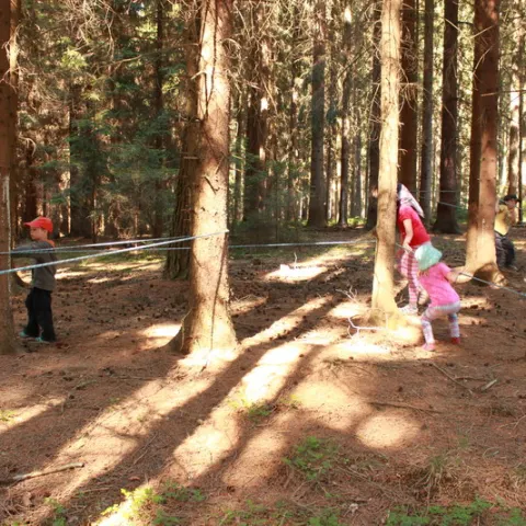 Eš u Pacova 2015 - 0.turnus – fotka 1421