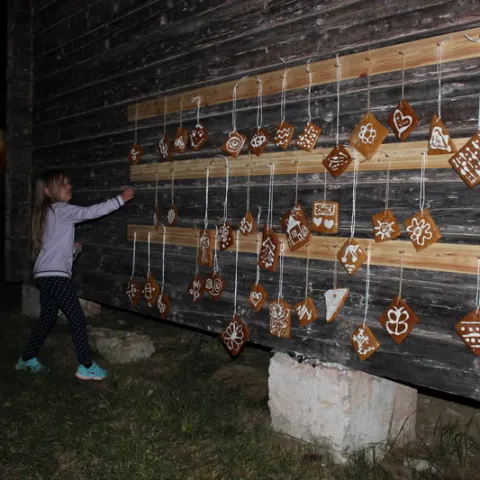 Eš u Pacova 2015 - 0.turnus – fotka 749