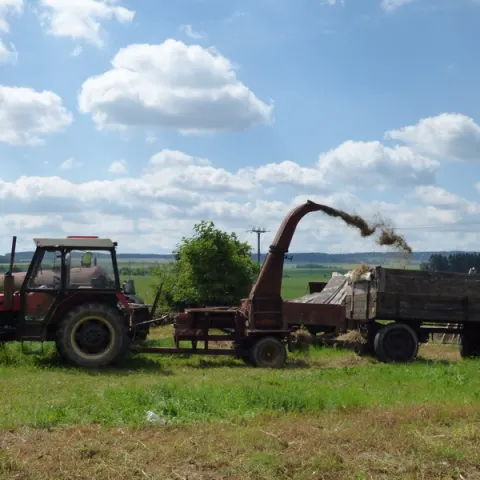Eš u Pacova 2015 - 0.turnus – fotka 1840